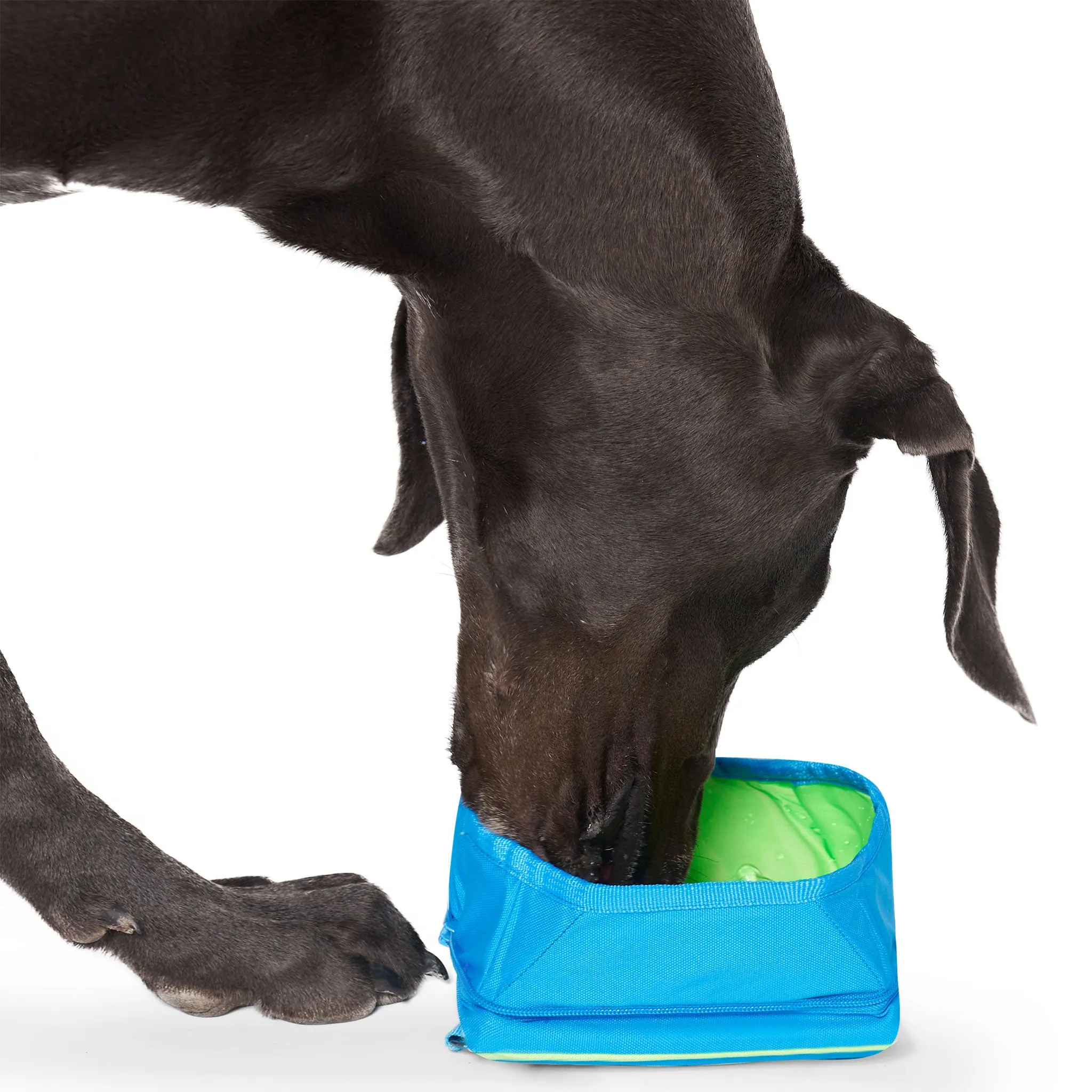 Canada Pooch Blue Chill Seeker Dog Bowl