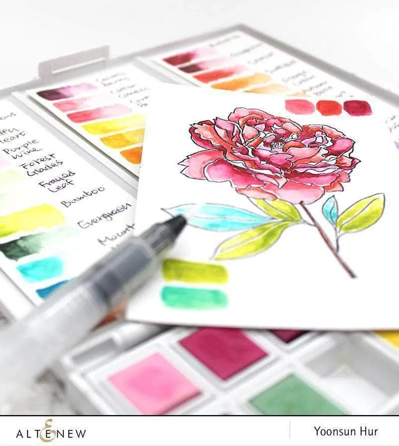 Creative Watercolor Brushes Bundle