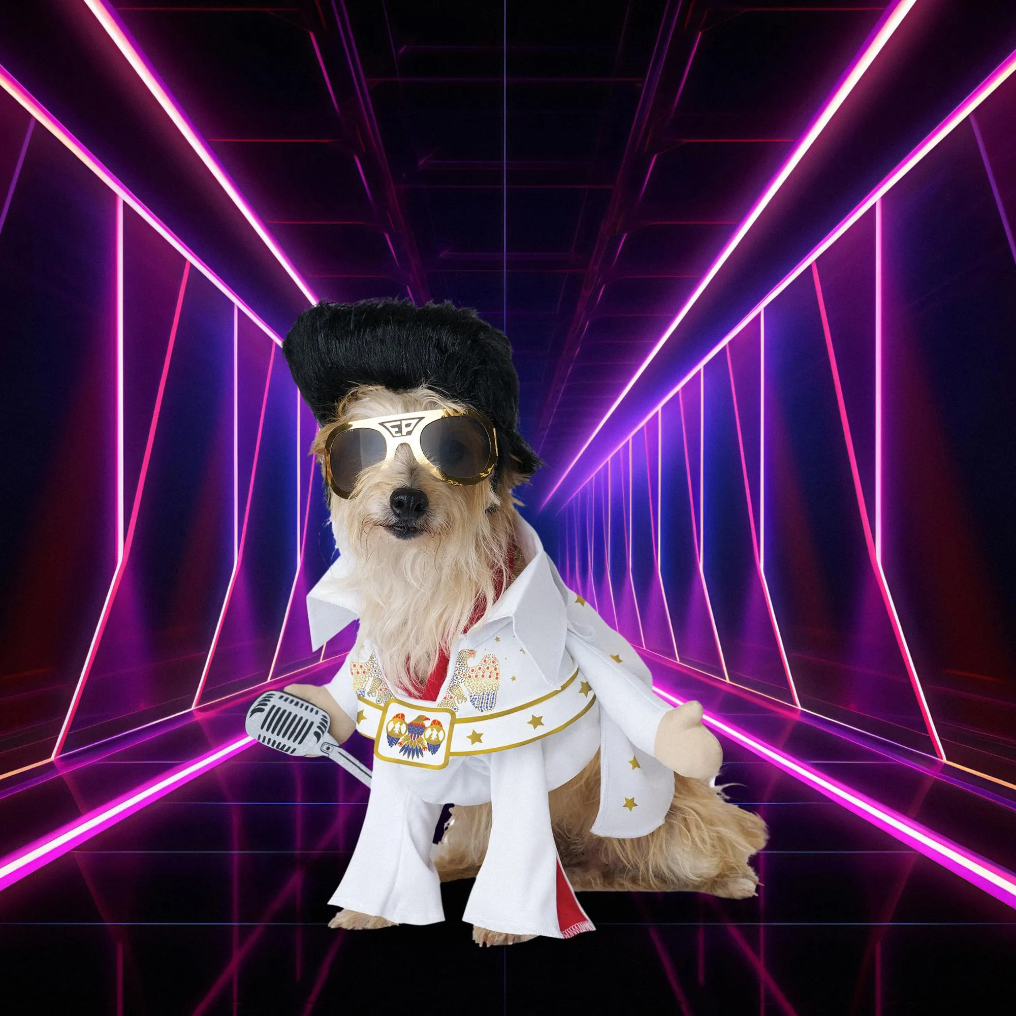 Elvis Viva Vegas Pet Costume