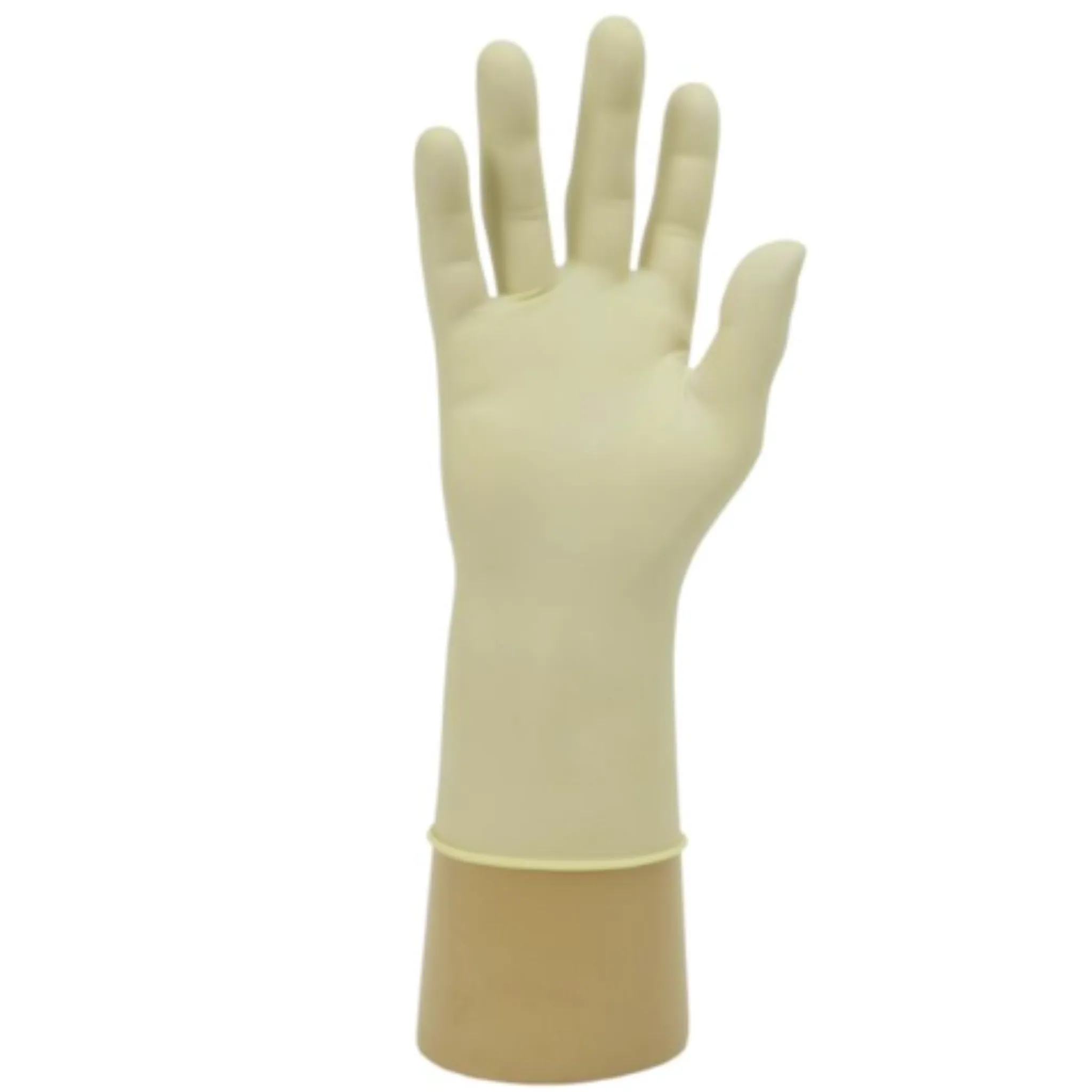 Healthline Powder Free Latex Examination Gloves GN31