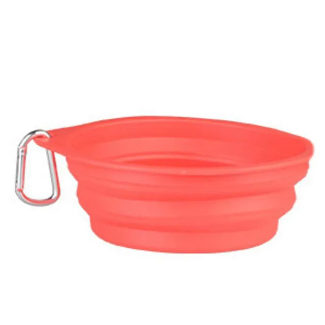 Pat and Pet Emporium | Pet Bowls | Colorful Pet Bowl with Lid