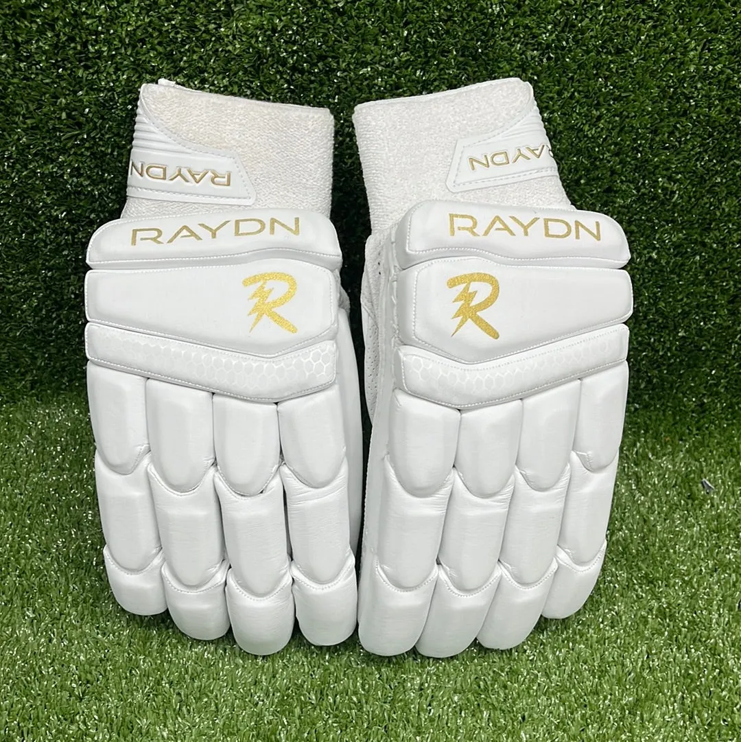 Raydn Players Pro Adult Cricket Gloves (With Pittard) Navy Blue / Black