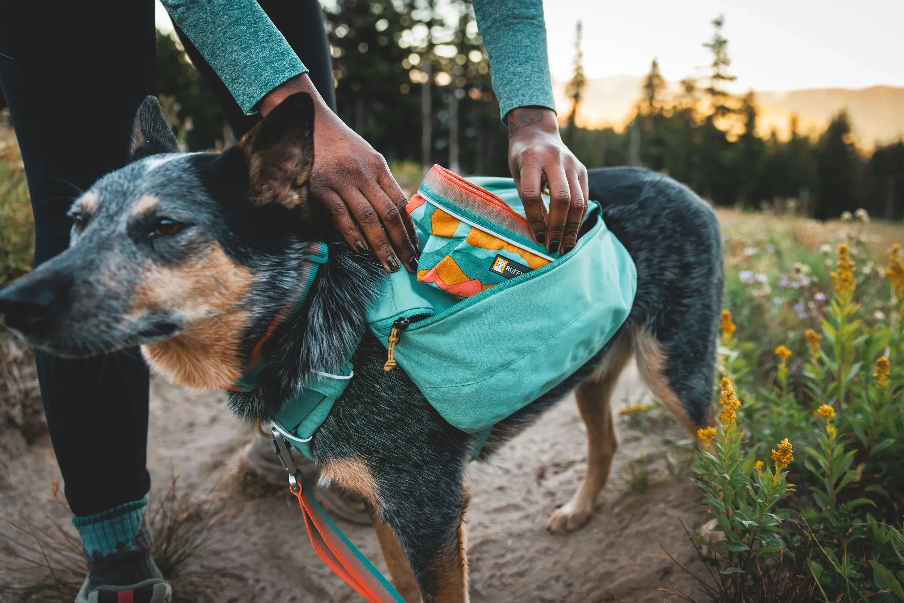 Ruffwear Quencher™ Collapsible Dog Food & Water Bowl (Spring Mountains)