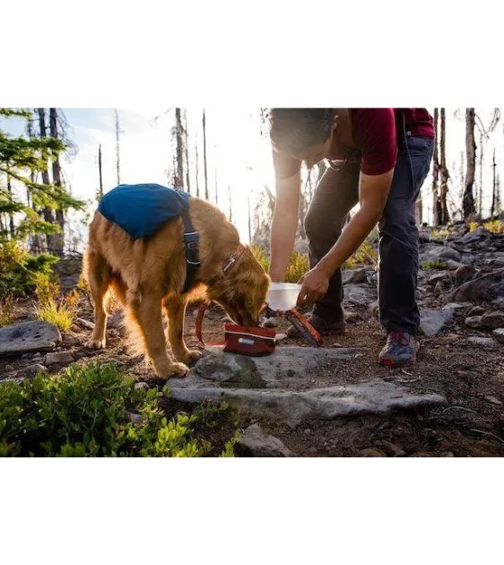 Ruffwear Quencher™ Collapsible Food & Water (Huckleberry Blue) Dog Bowl