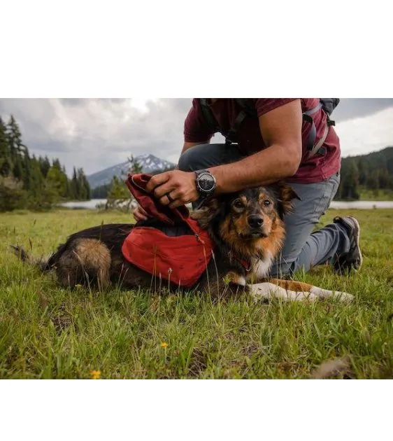 Ruffwear Quencher™ Collapsible Food & Water (Tumalo Teal) Dog Bowl